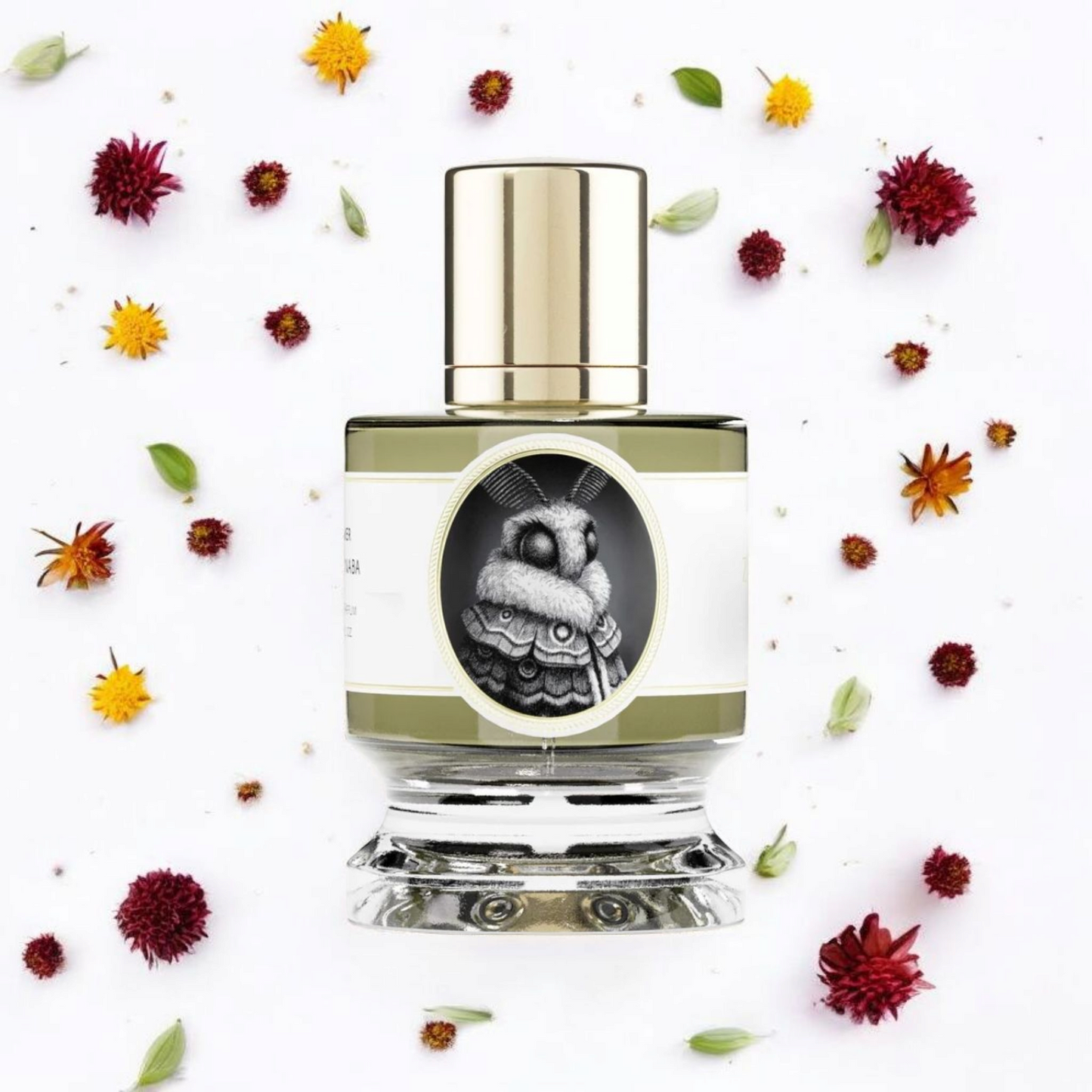 Shop Zoologist Moth Fragrance Samples – The Perfume Apothecary