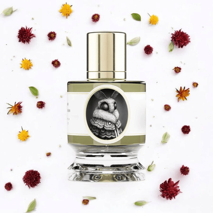 Zoologist Moth | Fragrance Samples UK