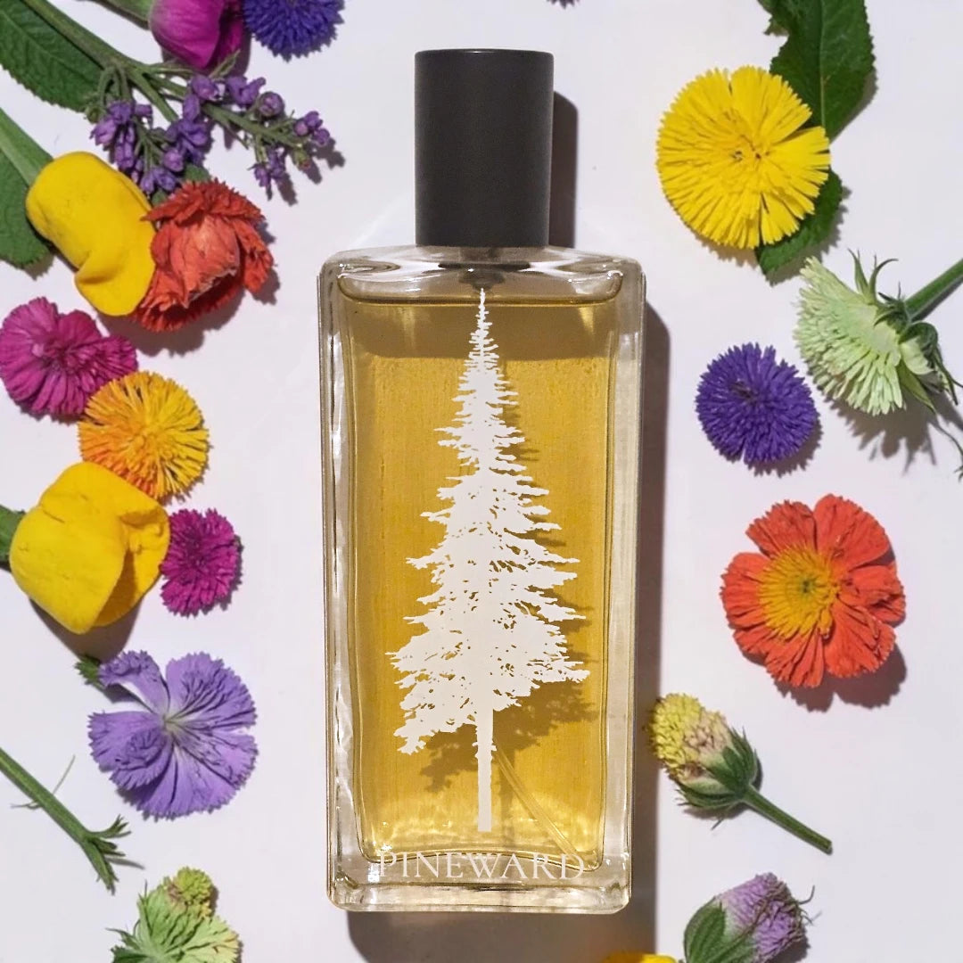 Pineward Shire | Fragrance Samples UK