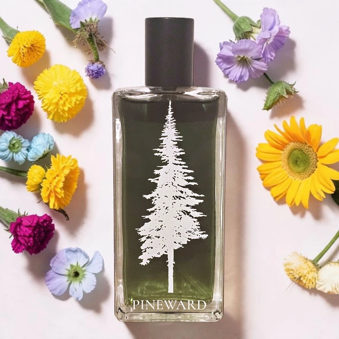 Pineward Coastal Veil | Fragrance Samples UK