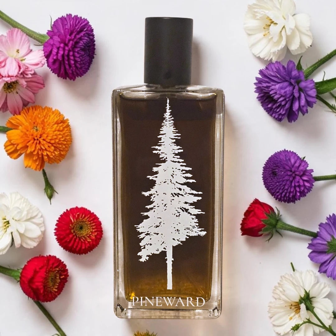 Pineward Tome | Fragrance Samples UK